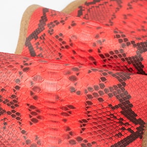 Red/Black ITALIAN genuine SNAKE AYERS (non Cites) leather (on fabric lining) skin