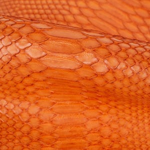 Peut inclure: Gros plan sur un morceau de cuir de serpent orange. Le cuir a une surface texturée avec un motif en losange.