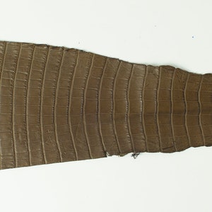 ITALIAN Green olive genuine real REPTILE tail leather (non Cites) glossy scraps