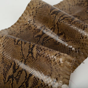 Green Swampy Print ITALIAN genuine SNAKE AYERS (non Cites) leather  glossy skin