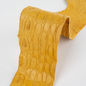 Pieza lateral de cuero de REPTIL genuino amarillo ITALIANO (no Cites) retales