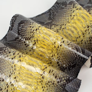 Può includere: Un pezzo di pelle di serpente giallo e nero con un motivo testurizzato.