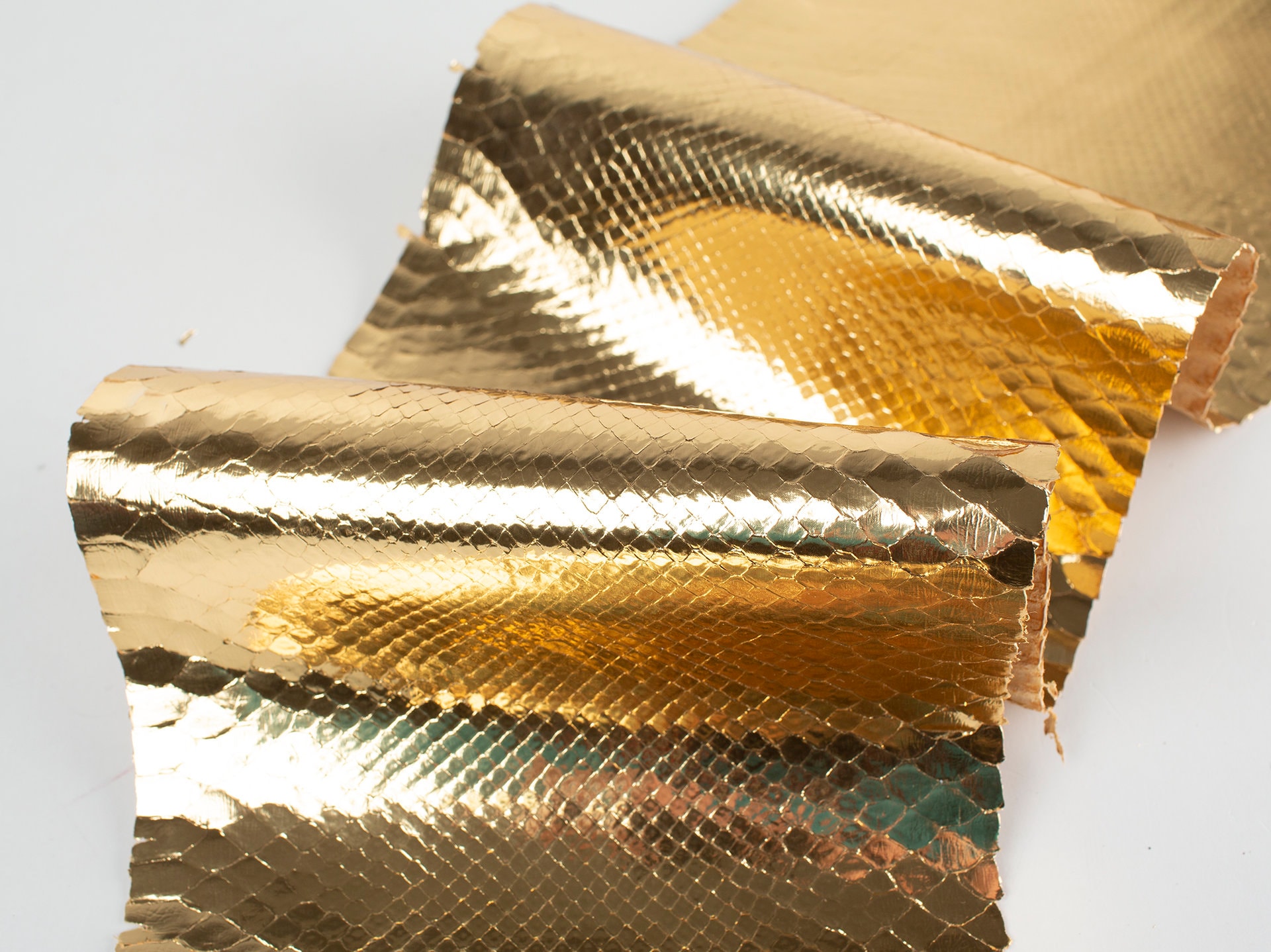Gold  metallic ITALIAN genuine SNAKE AYERS (non Cites) leather skin