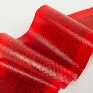 Rot/Schwarz Print ITALIENISCHE echt SNAKE AYERS (non Cites) Lederhaut
