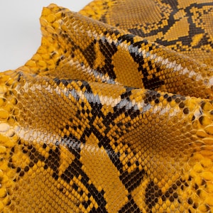 May include: Close-up of a yellow and black snakeskin with a textured pattern.