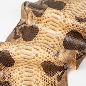 Beige/Brown Print ITALIAN genuine SNAKE AYERS (non Cites) leather skin