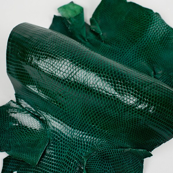 Pelle lucida di lucertola IGUANA genuina verde ITALIANA (non Cites) (16x30 cm/6,3x11,81 pollici)