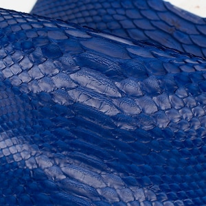 Op de afbeelding: Een stuk blauw slangenleer met een textuur.