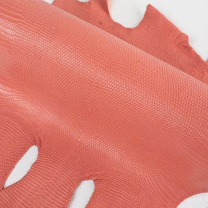 Puder ITALIENISCHE echter LEGUANA Eidechse (non Cites) Lederhaut (25x30cm/9,84x11,81in)