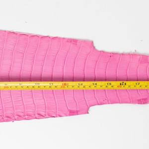 ITALIENISCHEs Rosa Flieder echtes reptilien Schwanzleder (non Cites) glänzende Scraps