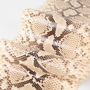 May include: A close-up of a beige and brown snakeskin with a textured pattern.