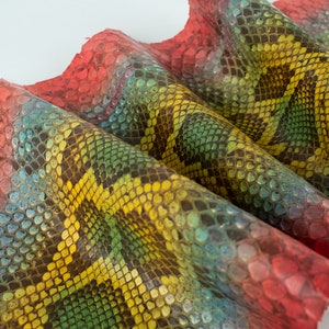 Può includere: Primo piano di un pezzo di pelle di serpente con un motivo iridescente arcobaleno. La pelle è piegata a forma di onda, mostrando la trama e i dettagli delle squame.