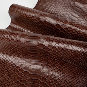 Può includere: Primo piano di una pelle di serpente marrone con un motivo testurizzato. La pelle è piegata e mostra la venatura naturale della pelle.