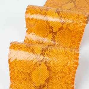 Estampado naranja ITALIANO genuino SNAKE AYERS (non Cites) piel brillante