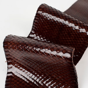 May include: A close-up of a piece of brown snakeskin leather. The leather has a glossy finish and a textured pattern.