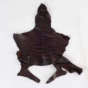 ITALIANO marrón oscuro Vintage genuino real REPTILE cuello cuero (no Cites) restos brillantes