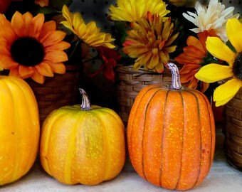 May include: Three pumpkins of different sizes and colors, with a yellow pumpkin in the center, an orange pumpkin on the right, and a yellow pumpkin on the left. The pumpkins are surrounded by artificial sunflowers and other fall flowers.