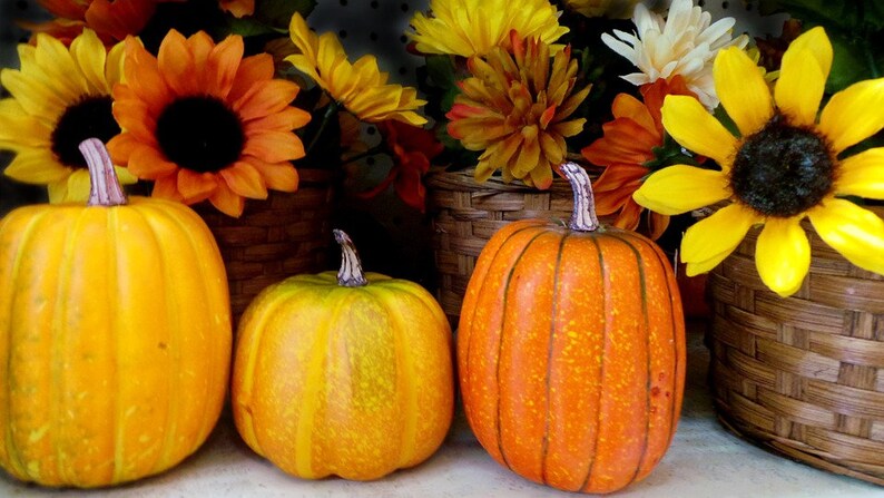K&ouml;nnte beinhalten: Drei K&uuml;rbisse in verschiedenen Gr&ouml;&szlig;en und Farben, mit einem gelben K&uuml;rbis in der Mitte, einem orangefarbenen K&uuml;rbis rechts und einem gelben K&uuml;rbis links. Die K&uuml;rbisse sind von k&uuml;nstlichen Sonnenblumen und anderen Herbstblumen umgeben.