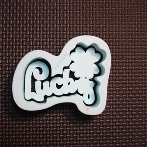 Lucky St. Patrick&#39;s Day Cookie Cutter with Dough/Fondant Stamp