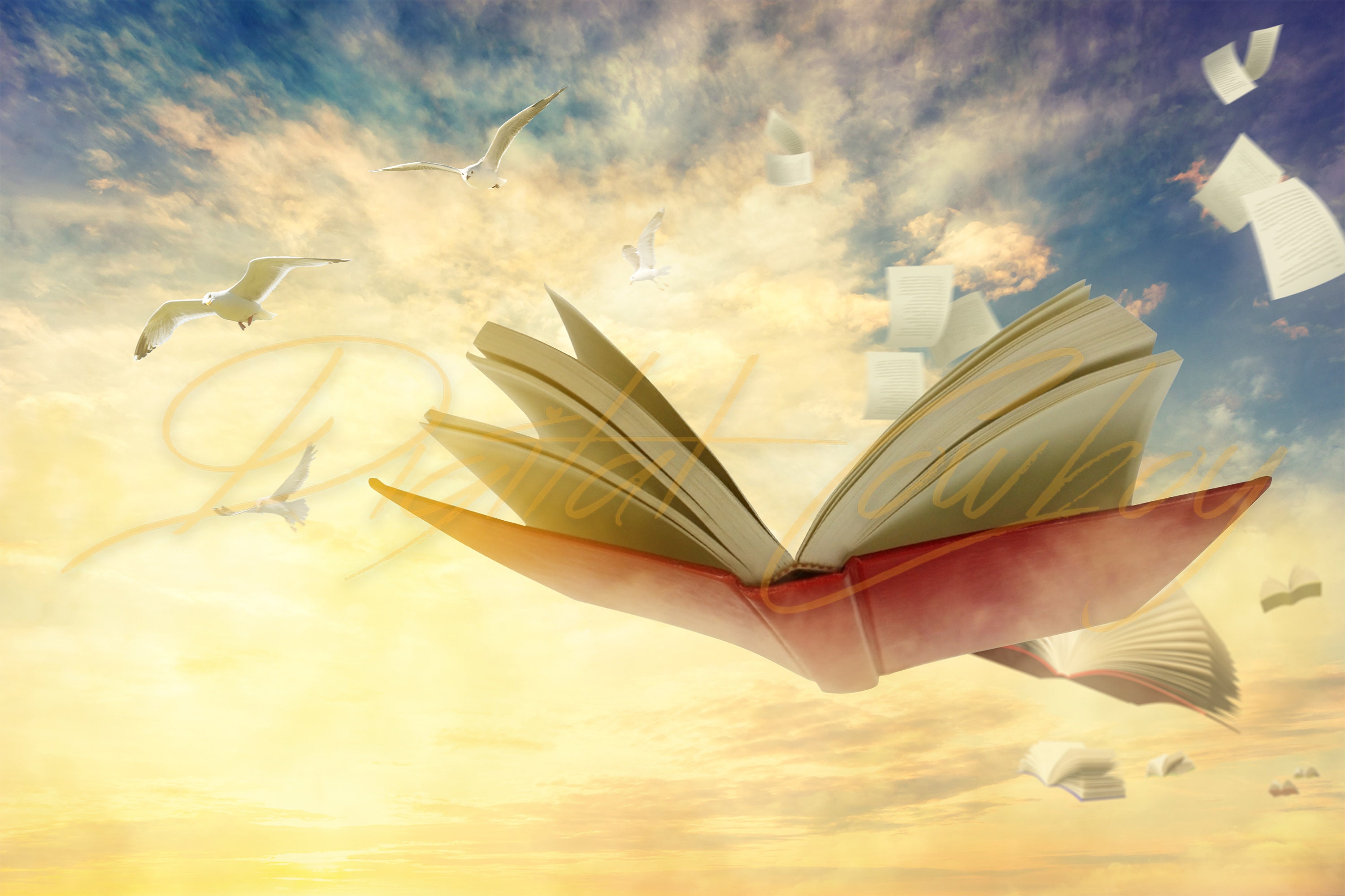 Storybook Background Fantasy Photography Backgrounds & | Etsy