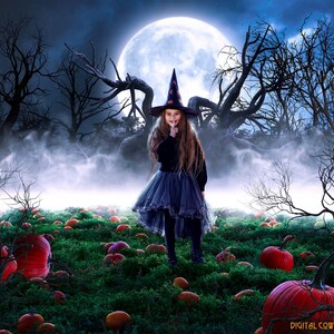Può includere: Una persona vestita da strega è in piedi in un campo di zucche sotto la luna piena. Indossa un vestito nero, una gonna blu e un cappello a punta con stelle. La scena è ambientata in una foresta spettrale con alberi spogli e nebbia.