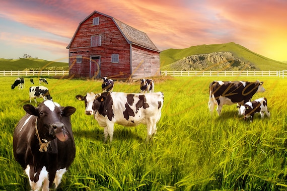 Farm background deals