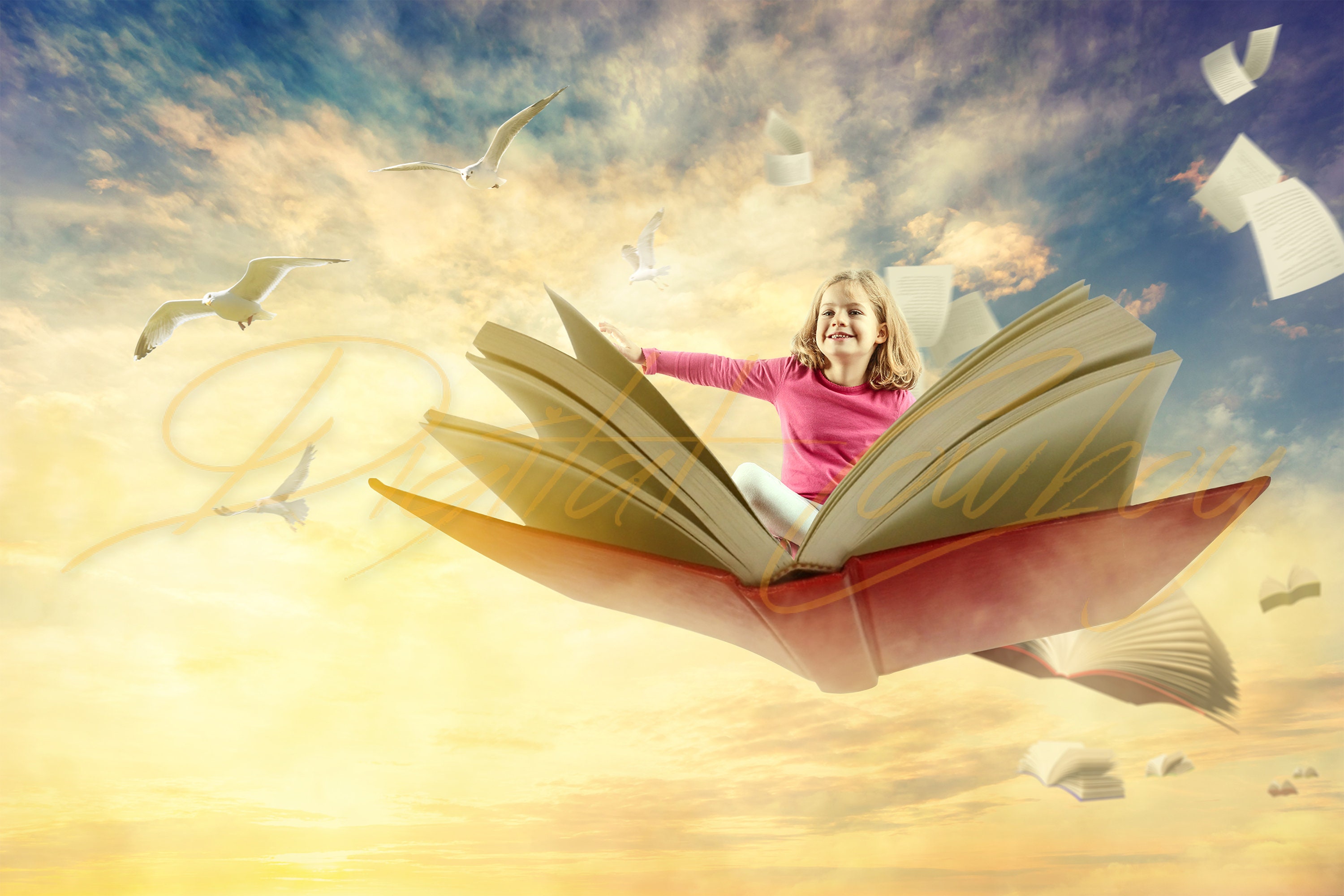 Storybook Background Fantasy Photography Backgrounds & | Etsy