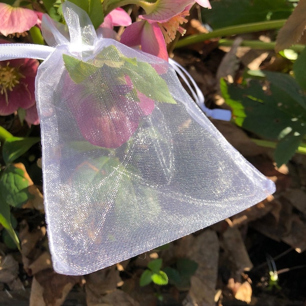 4 x 6 Organza Bag, Sachet, Blossom Bag, Seed Storage Bag, Crafting, Seed Collection, Gifting