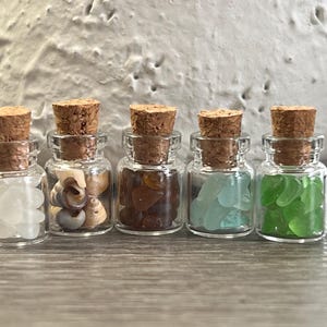 Liten strandglasburkset: Fynd från Eriesjön, minisnäckor (set om 5)