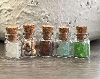 Tiny Beach Glass Jar Set: Lake Erie Finds, Mini Shells (Set of 5)