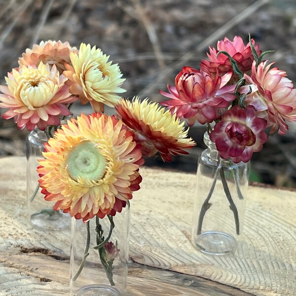 Dried Flower Arrangement Etsy