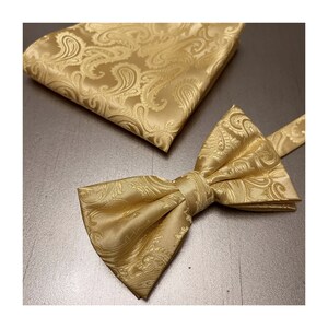 Men's Gold Paisley Pretied bow tie and Pocket Square Handkerchief Hankie Set Formal Casual Party Christmas Holiday Prom