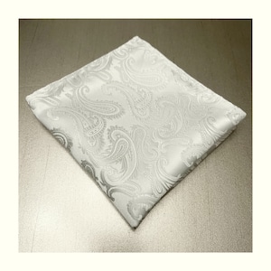 Paisley OFF WHITE Ivory Pocket Square Handkerchief Hankie Wedding Formal Prom Gift