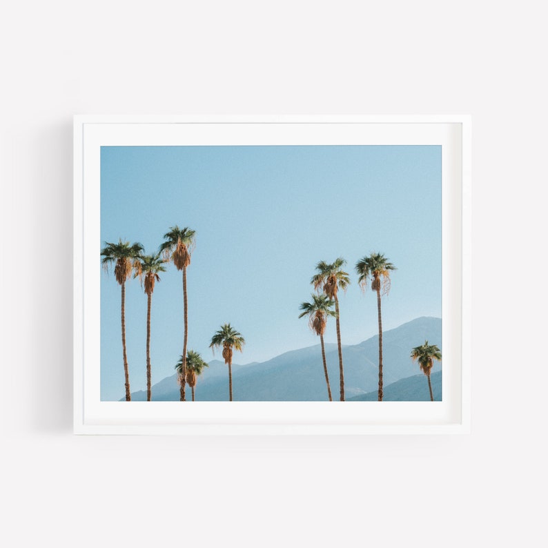 Palm Springs Framed Print California Wall Art Palm Trees Etsy