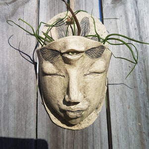 Ceramic Sculpture - Wall Planter - Original Artwork