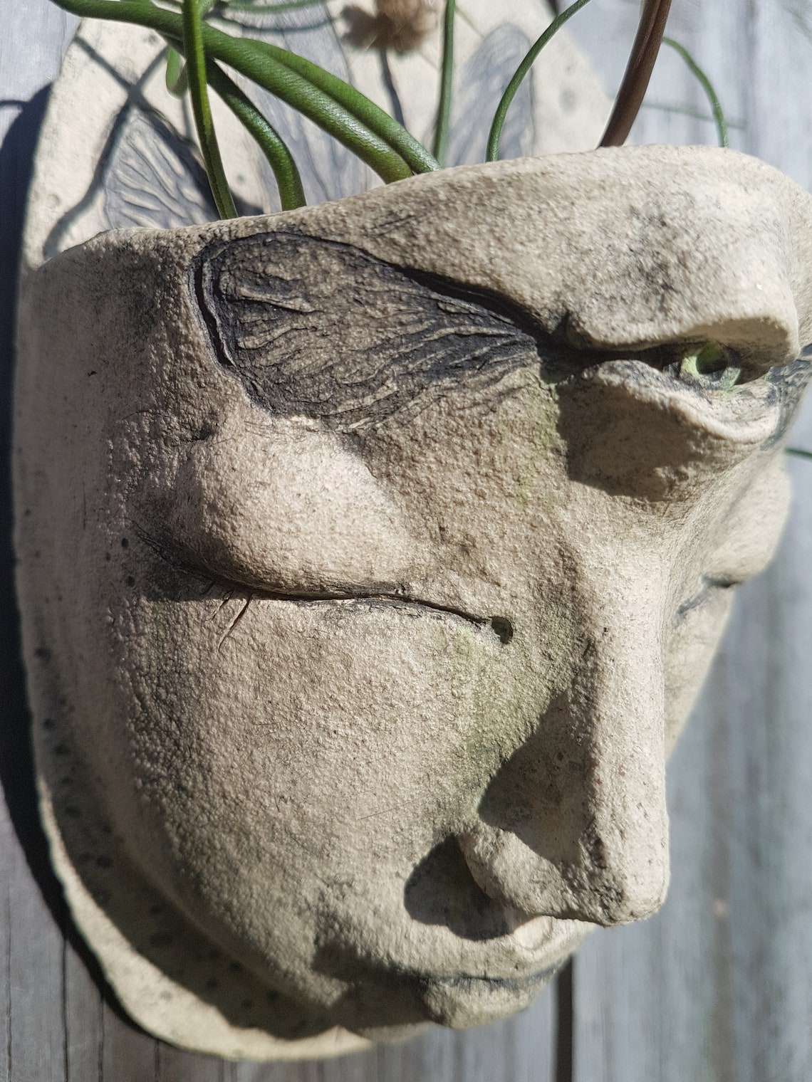 Ceramic Sculpture Wall Planter Original Artwork Etsy