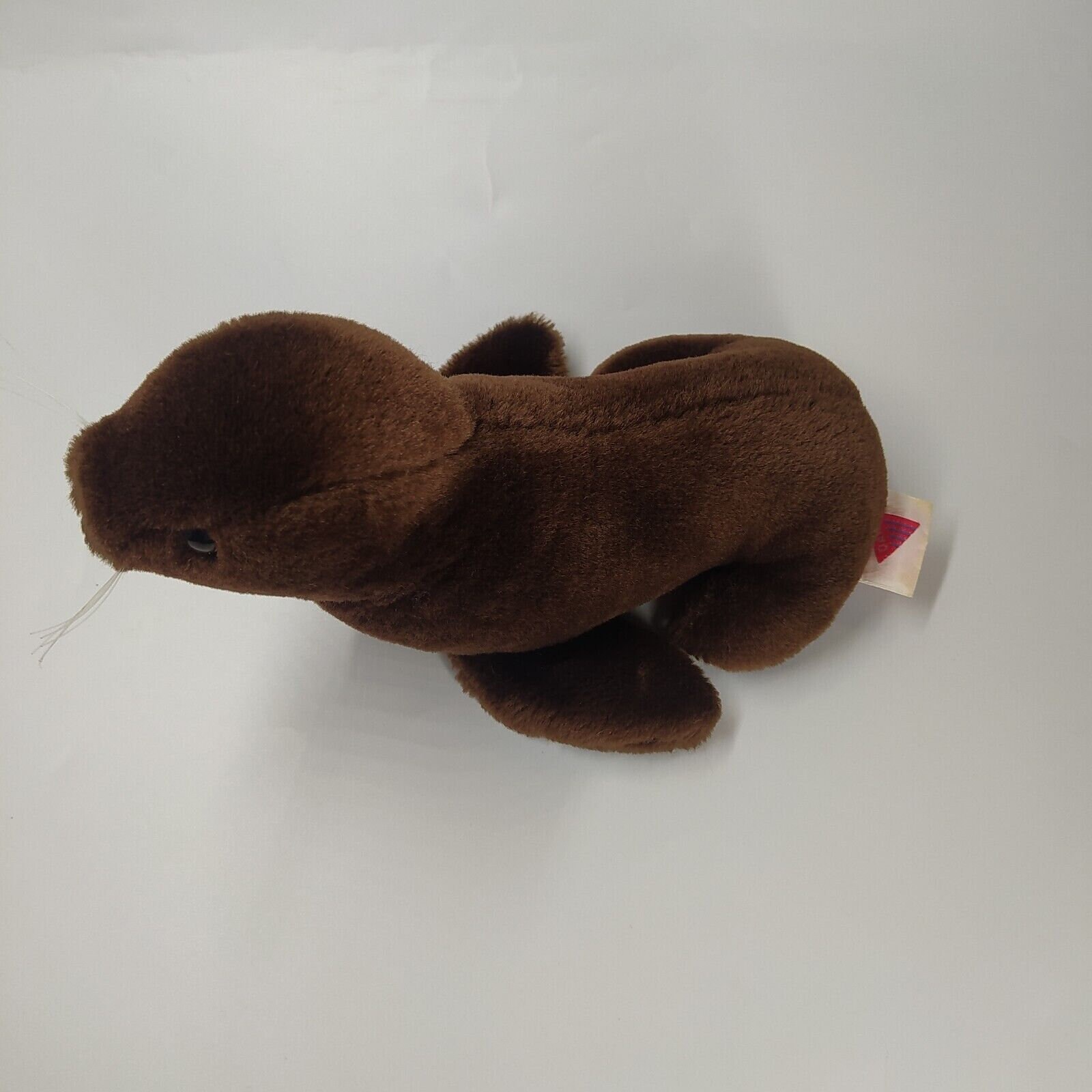Dark Brown Seal Teddy main image 1