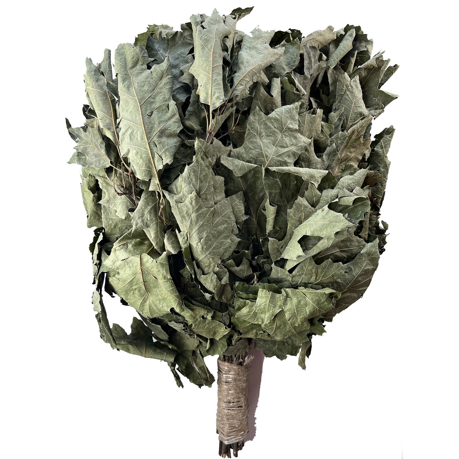 Sauna Whisk Oak Russian Venik 20 Psc Luxuary Etsy Sauna Whisk Oak Russian Venik 20 Psc Luxuary Etsy