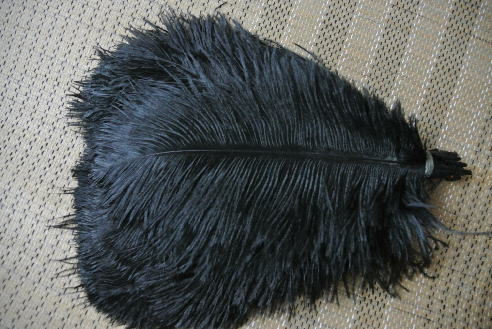 10 Pcs Black Ostrich Feathers 6-8 Dyed Wedding Craft Carnival Centerpiece  Feathers 