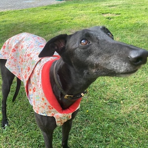 Vattentät greyhound-kappa, kitschig blommönster med matchande foder i ljust korallrött
