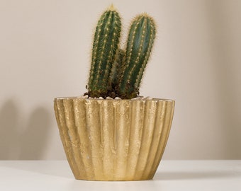 4" Conical Concrete Planters from Recycled Materials | Handcrafted | Modern Minimalist Design | Eco-friendly | Cactus | Succulents| Pots