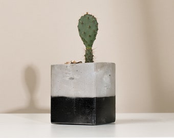 4" Square Concrete Planters from Recycled Materials | Hand Crafted | Modern Minimalist Design | Eco-friendly | Cactus | Succulents| Pots