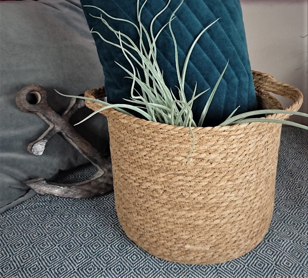 Cesta de almacenamiento decorativa hecha de algas L | Etsy