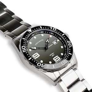 Dänholm Diver Automatik Grau