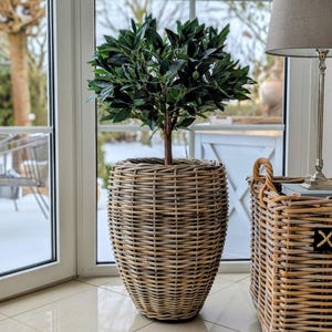 Peut inclure: Un grand pot en osier tressé, d'environ 60 cm de haut, avec un petit arbre à l'intérieur. Le pot est de couleur marron clair et de forme arrondie. L'arbre a des feuilles vert foncé et un tronc brun. Un panier en osier et une lampe sont également visibles.