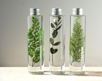 Trio of NATURA NOVA Submerged Plants, Herbariums in a bottle, Plants in a bottle, Gift idea
