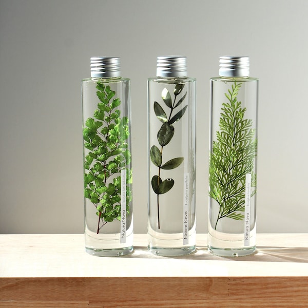 Trio de Plantes immergées NATURA NOVA, Herbariums en bouteille, Plants in bottle, Idée cadeau