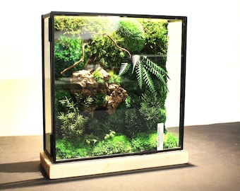 Stabilized plant terrarium, Landscape under glass, Terrarium