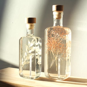 Duo of submerged plants NATURA NOVA, Submerged flowers, Herbarium, Gift idea, Herbarium