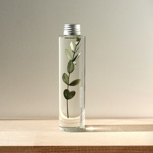 Submerged plant, Herbarium in bottle, Plant in liquid, Gift idea